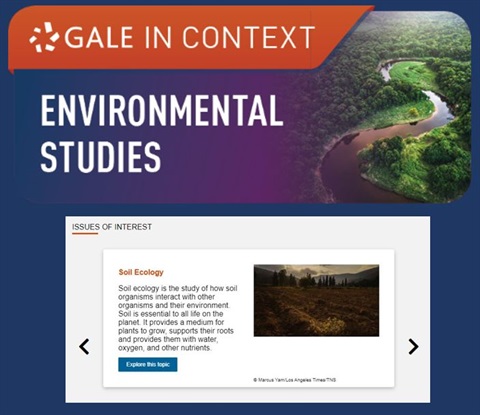 Gale Environmental
