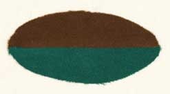 35th-battalion.jpg
