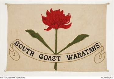 South Coast Waratahs flag