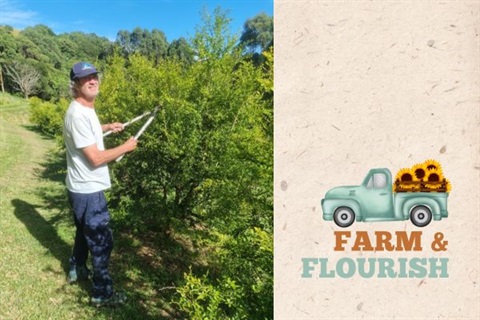 Curry's Mountain Estate