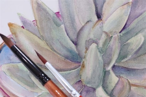 Succulents in watercolour workshop