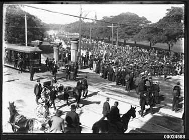 Contingent of the Australian Naval and Military Expeditionary Force marching on Randwick Road, 18 August 1914