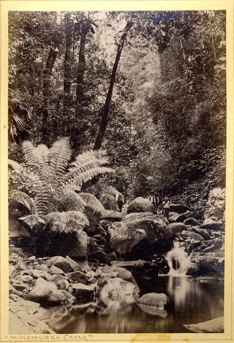 Image 1.jpg