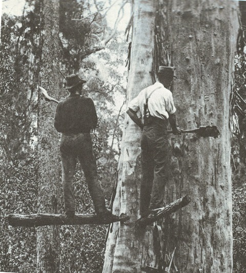 Image 4.jpg