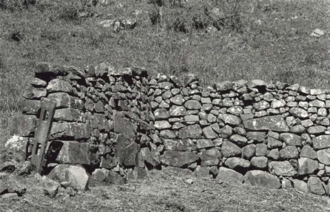 Image 5.jpg