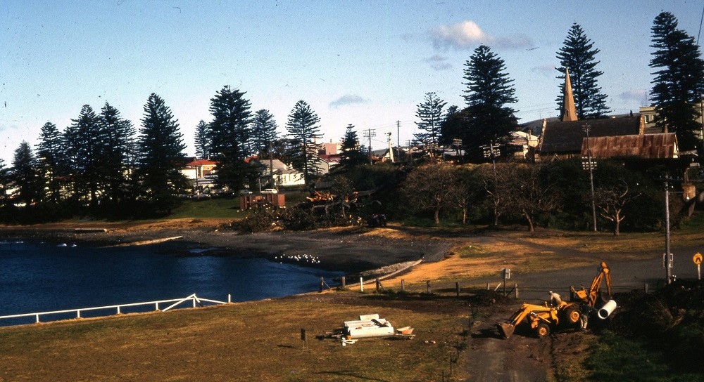 demolition figtree