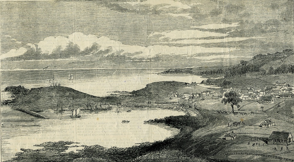 drawing of the harbour 1870s.jpg