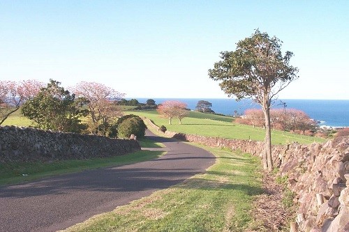 Dry stone wall.jpg