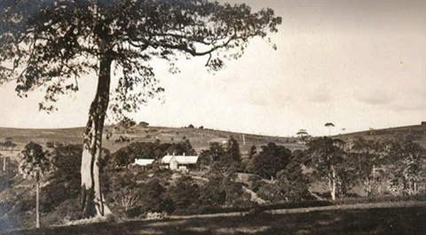 Greyleigh house.jpg