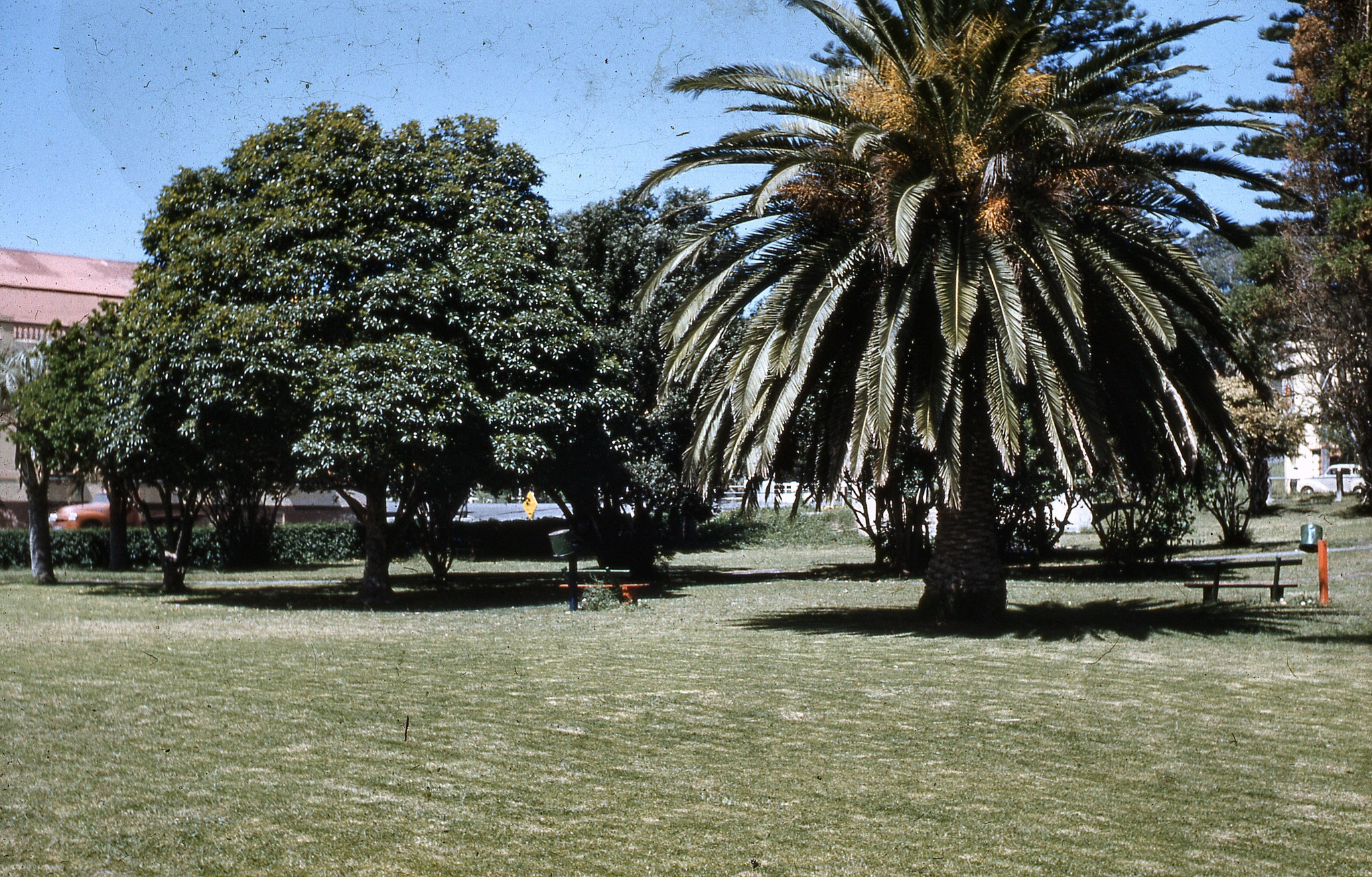 Hindmarsh park 3.jpg