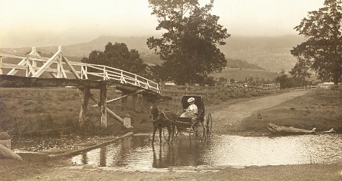 Lady in horse drawn buggy, Jamberoo c.1912.jpg