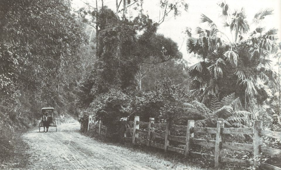 Mitchell Library old Kiama road.jpg