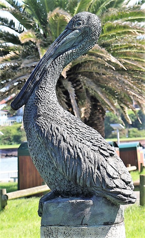 Pelican-Profile-1.jpg