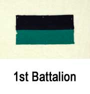 1st Battalion colour patch